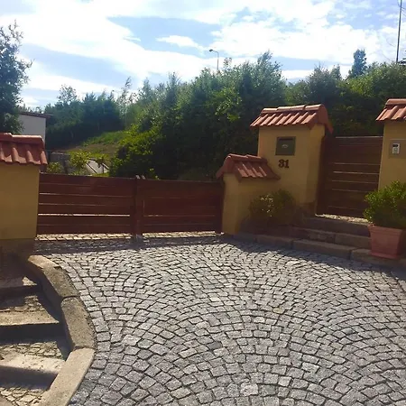 아파트만 오거스텐